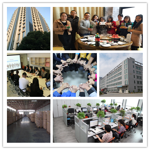 2019 Wholesale Popular High Quality Embroidery Lace Cording Fabric