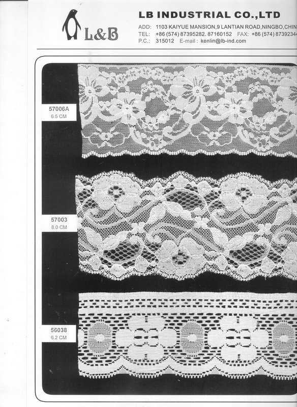 Fan-shaped Nylon Eyelash Lace Trimming for Underwear Decoration Double Scalloped Eyelash Lace Trim
